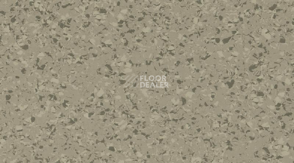 Линолеум Gerflor Mipolam Affinity 4443 Lime Taupe фото 1 | FLOORDEALER